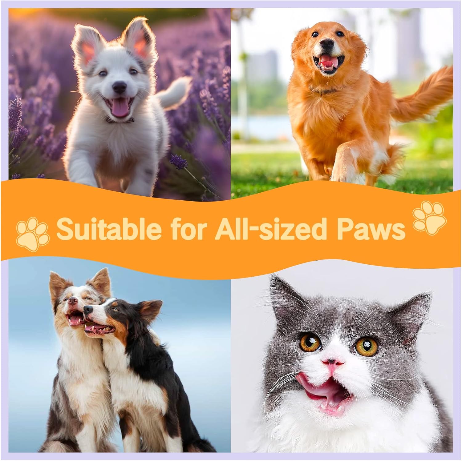 Collage of happy dogs and cats with text 'Suitable for All-sized Paws' highlights versatile pet cleaner.