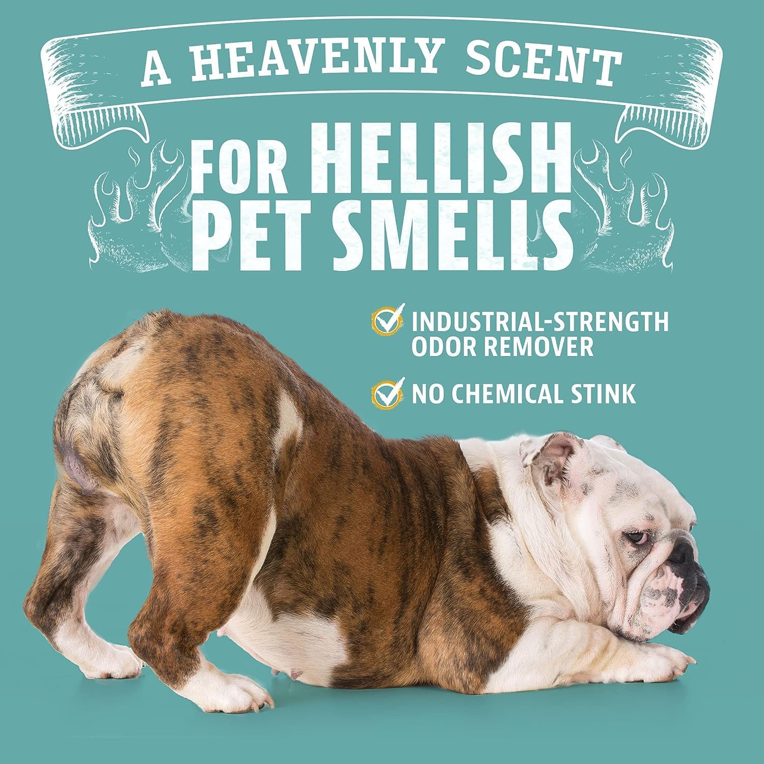 Pet Odor Eliminator for Dog and Cat Urine, Carpet Stains, and Strong Smells – Citrus Cleaner with Natural Orange Oil – 24 Oz