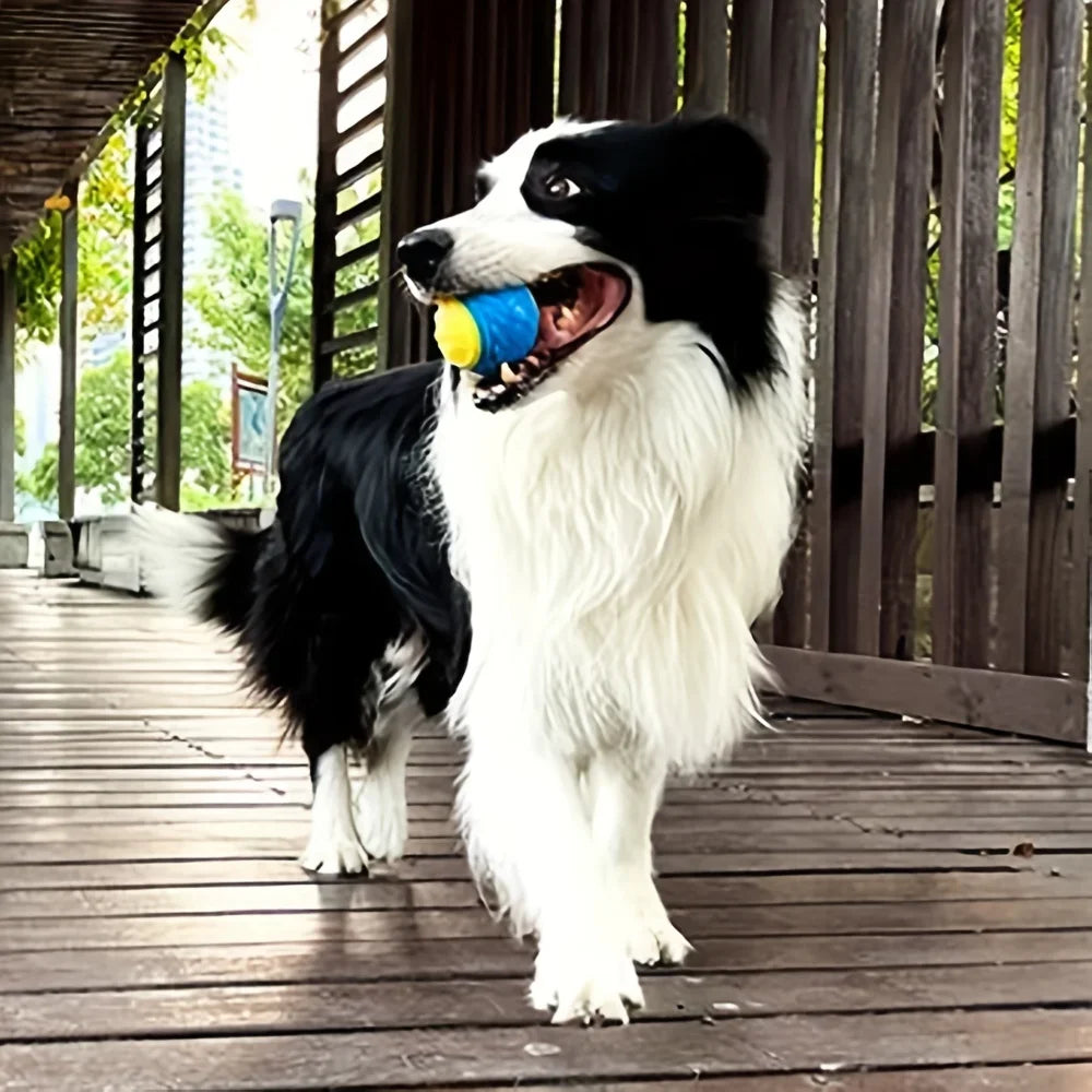 Dog playing with a durable crew ball chew toy on a wooden deck.