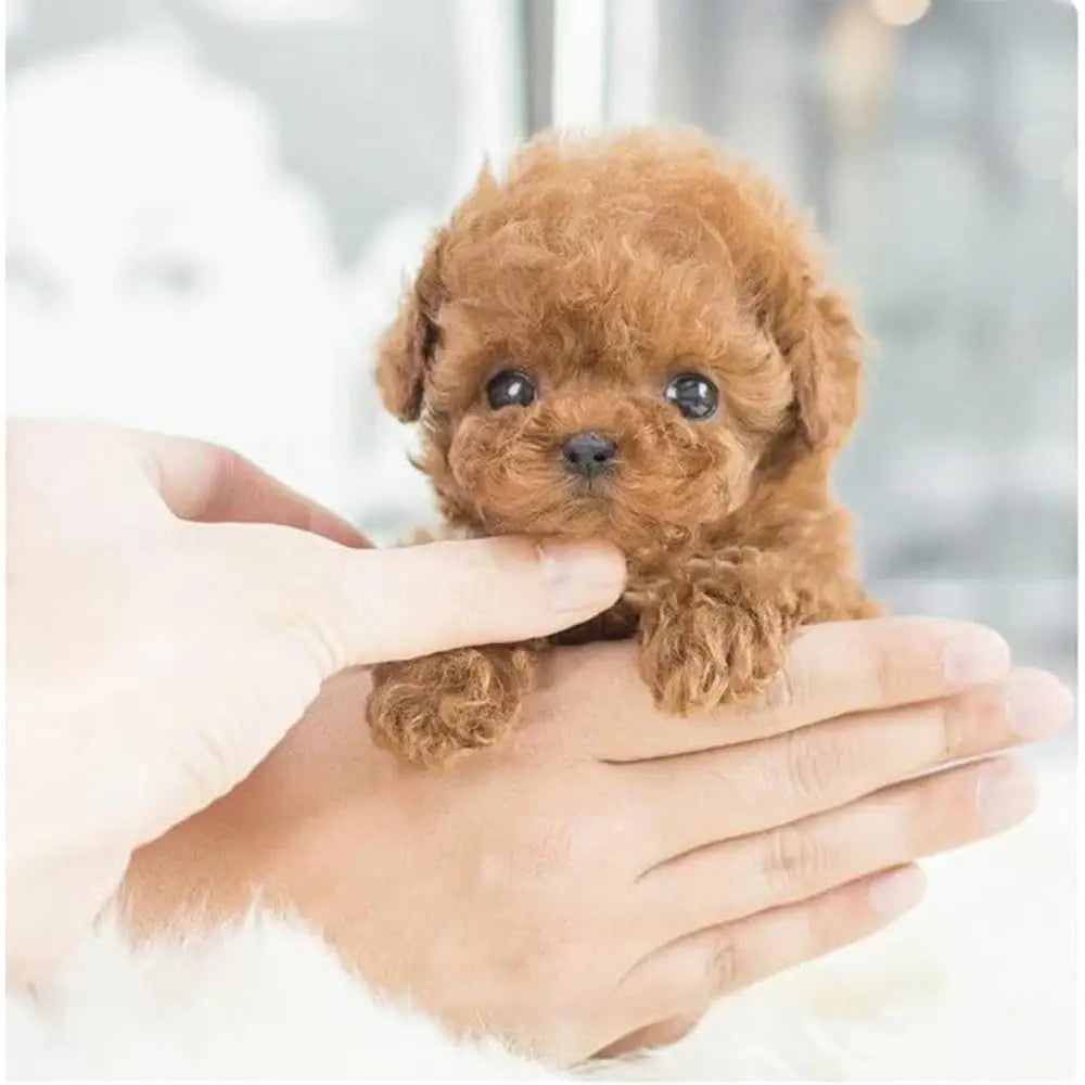Robot Puppy Interactive Plush Pet Kids Toys Robot Dog Pet Plush Interactive Realistic Puppy Dog Toy Walking Barking Wagging Tail