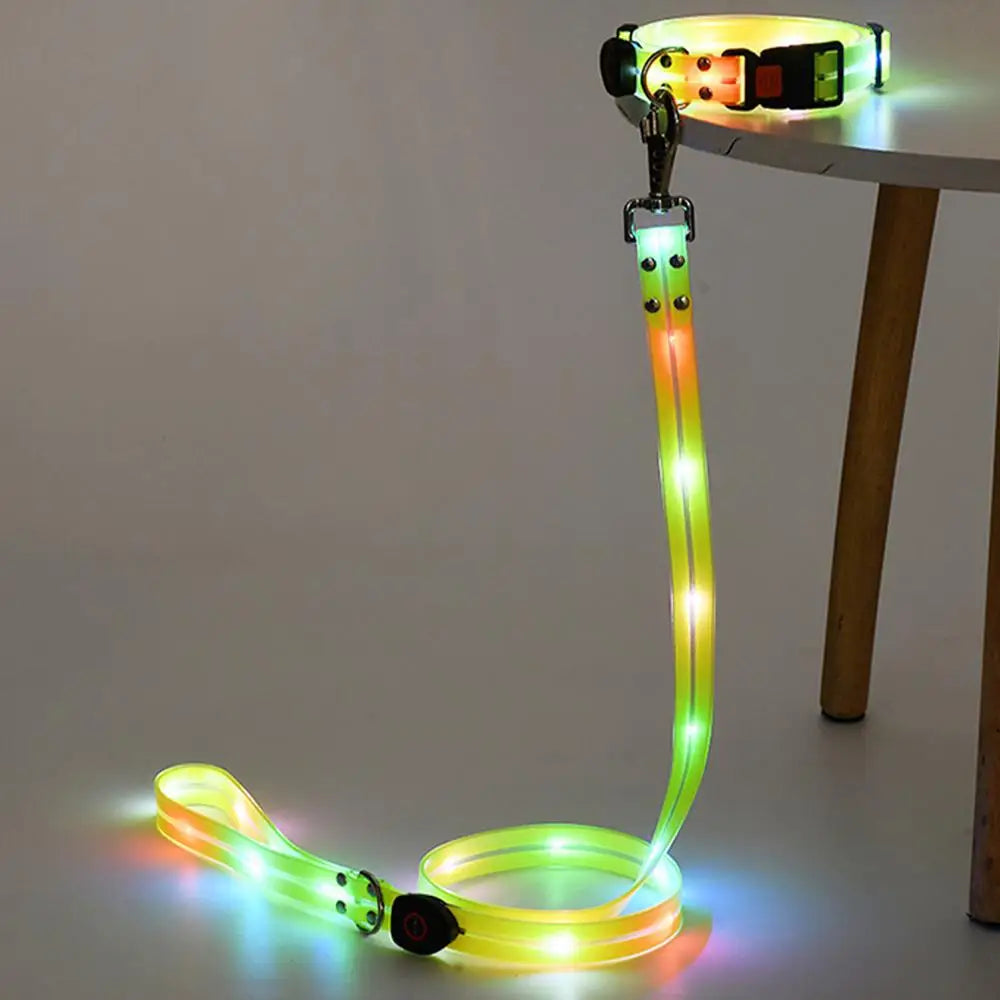 LED Light Up Dog Collar