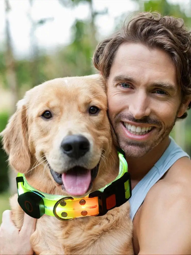 LED Light Up Dog Collar