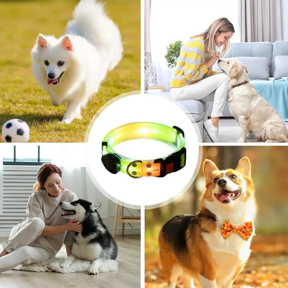 LED Light Up Dog Collar