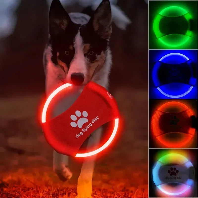 Dog playing with LED flying disc toy at night, glowing in various colors.