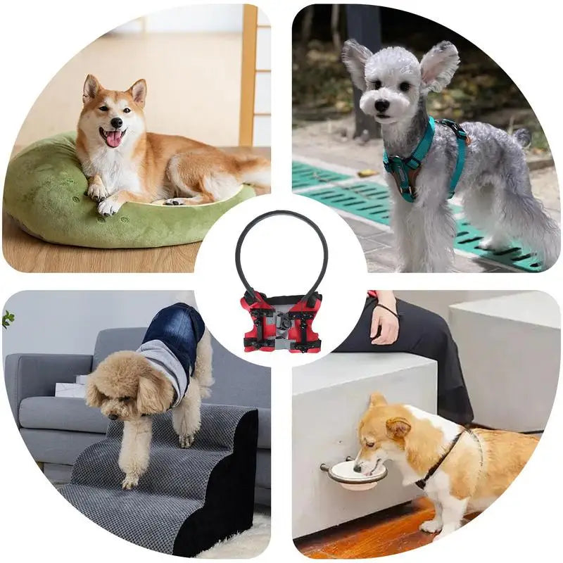 Blind Dog Harness Guiding Device Pet Safe Lightweight Adjustable Blind Dog Collar Blind Dog Accessory Safety Comfortable Bumper