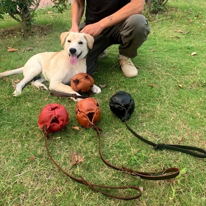 Leather dog training ball toy with handle, perfect for fetch and obedience training.