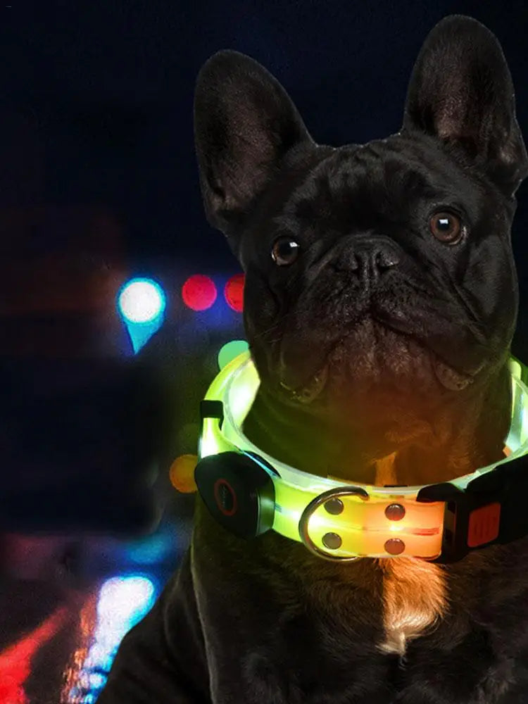 LED Light Up Dog Collar