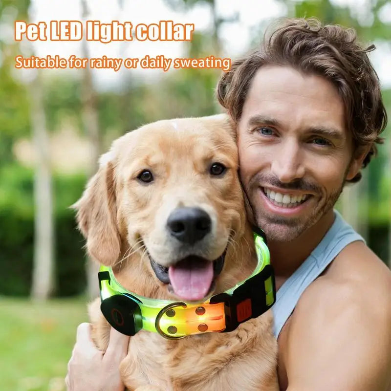 LED Light Up Dog Collar