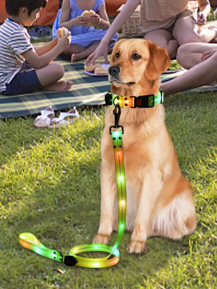 LED Light Up Dog Collar