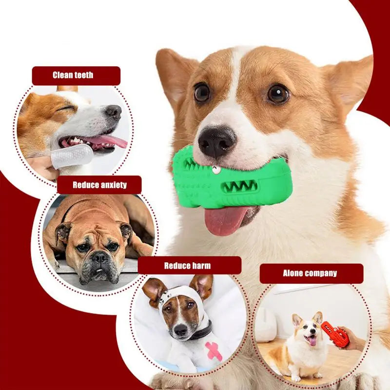 Dog Durable Chew Interactive Toy Rubber Alligator Tooth Cleaning Point Massage Pet Toothbrush Molar Pet Supplies with Squeaker