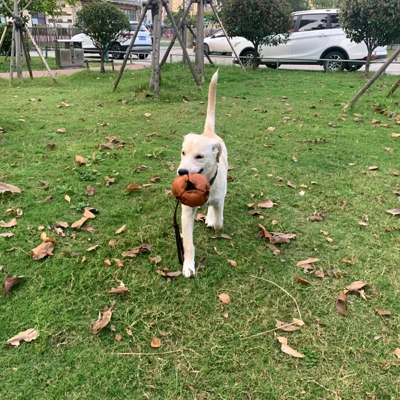Leather Dog Training Ball Toy Dog Ball Tug Toy, with a Handle Dog Bite Toy, Soft Puppy Reward Toy for Fetch Catch Throw Pet Toys