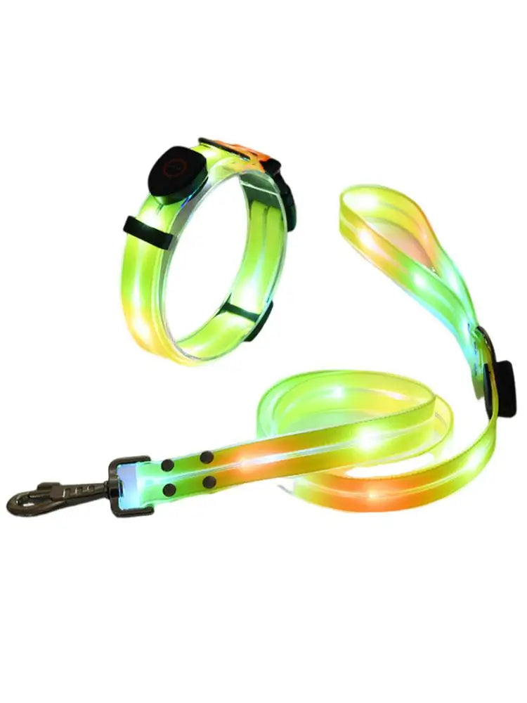 LED Light Up Dog Collar