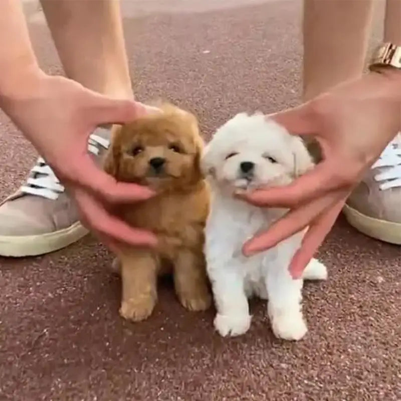 robot puppy interactive plush toy for kids