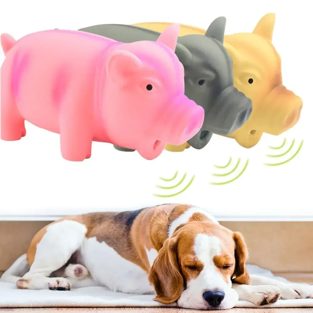 Cute rubber sound pig squeak toy for dogs, perfect for chew training and teeth cleaning.