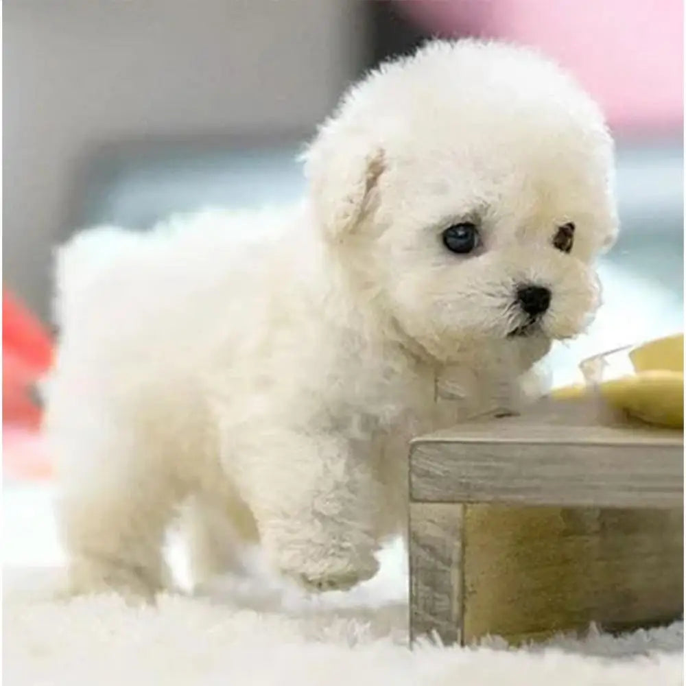 Robot Puppy Interactive Plush Pet Kids Toys Robot Dog Pet Plush Interactive Realistic Puppy Dog Toy Walking Barking Wagging Tail