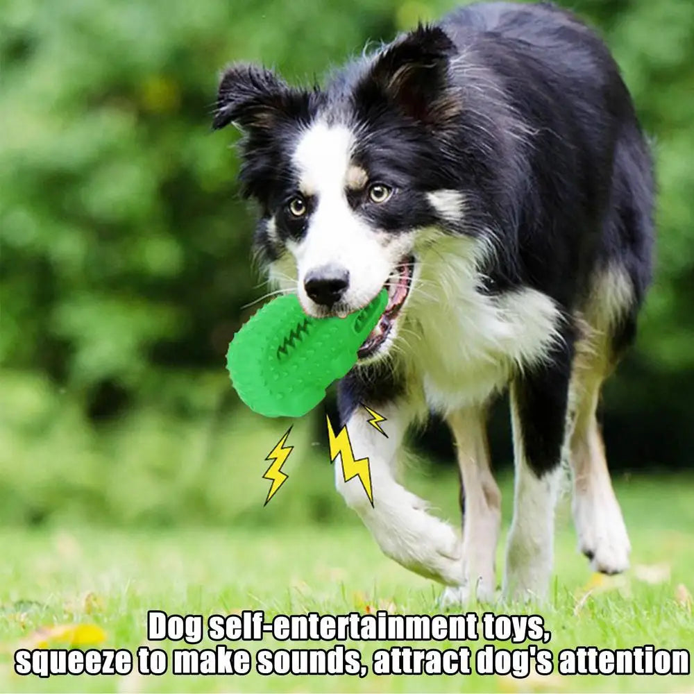 Dog Durable Chew Interactive Toy Rubber Alligator Tooth Cleaning Point Massage Pet Toothbrush Molar Pet Supplies with Squeaker