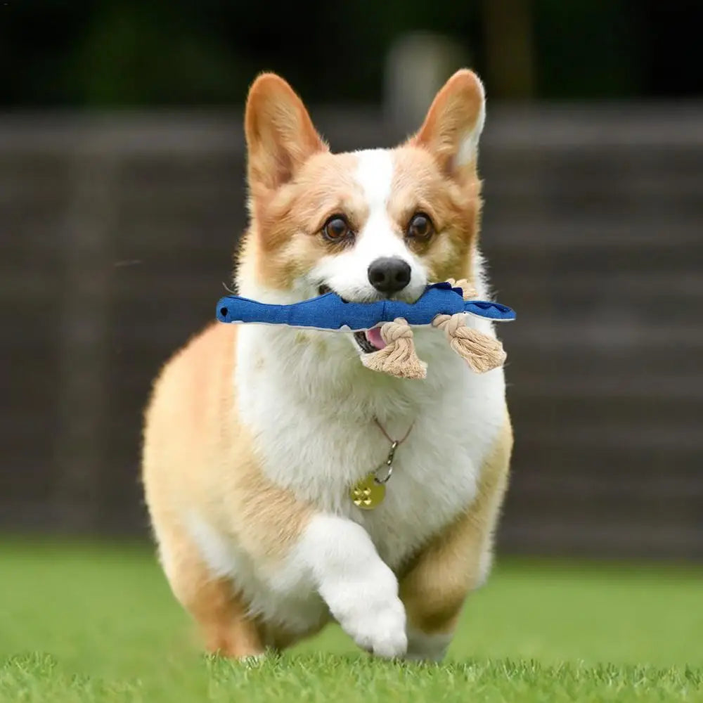 Pet Teething Toy Interactive Dog Chew Toy Cotton Rope Knot Dog Grinding Toys For Medium Dog Bite-Resistant Squeaky Dog Toy