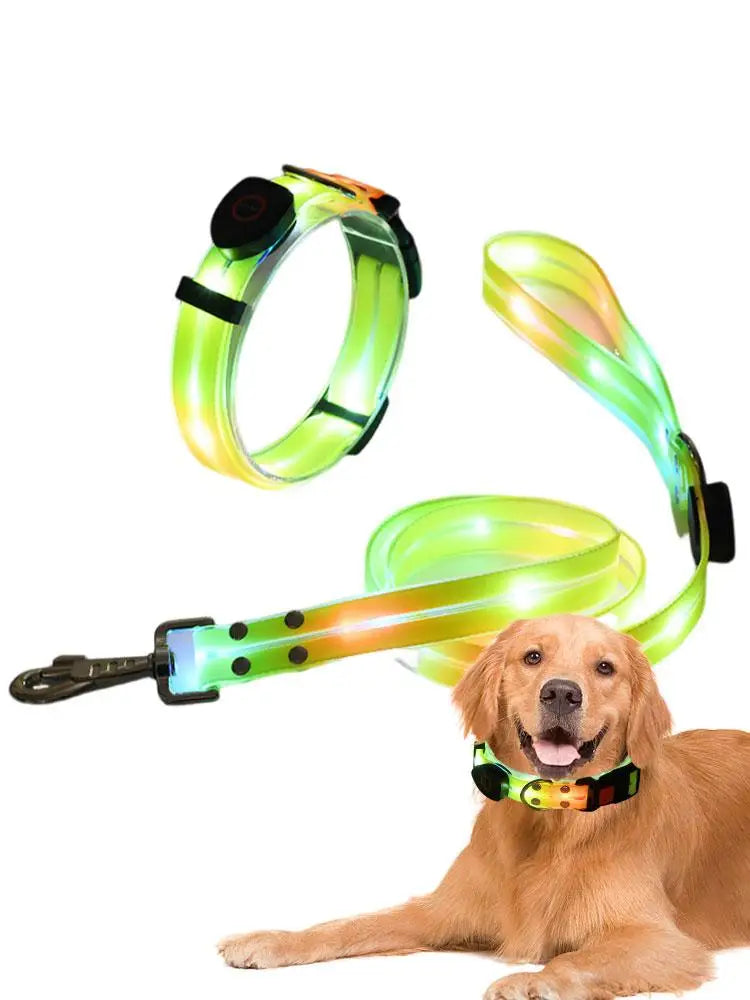 LED Light Up Dog Collar