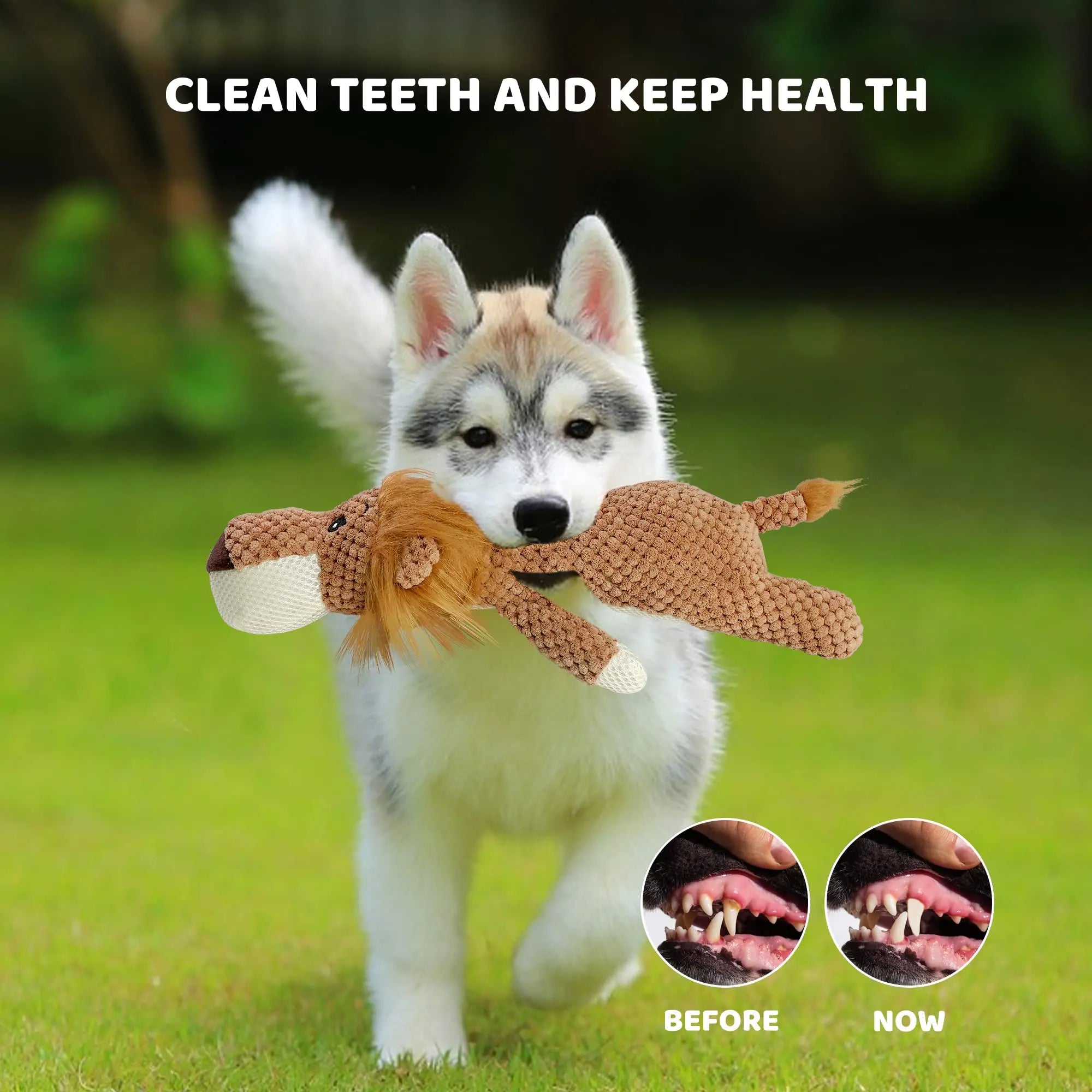 Pet Dog toy Plush Lion shape Training Improve IQ Dog chew toy Durable Puppy toy not boring Dog Accessories
