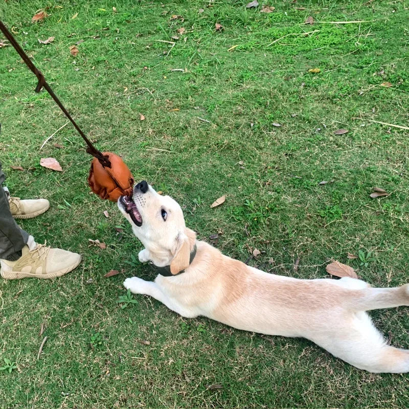 Leather Dog Training Ball Toy Dog Ball Tug Toy, with a Handle Dog Bite Toy, Soft Puppy Reward Toy for Fetch Catch Throw Pet Toys