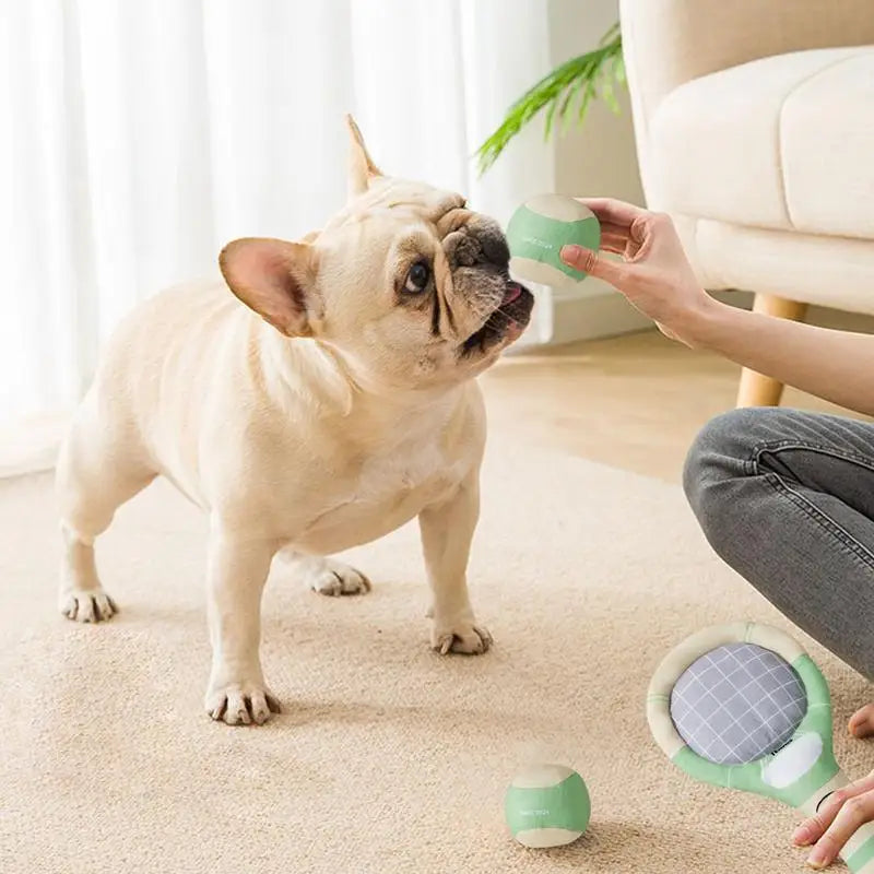 Dog playing with a green squeaky tennis ball and racket toy set for chewing and teething indoors.