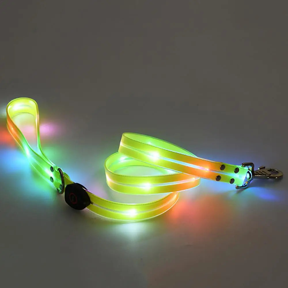 LED Light Up Dog Collar
