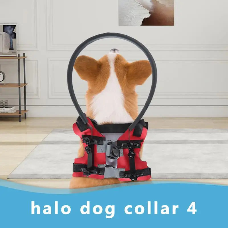 Blind Dog Harness Guiding Device Pet Safe Lightweight Adjustable Blind Dog Collar Blind Dog Accessory Safety Comfortable Bumper