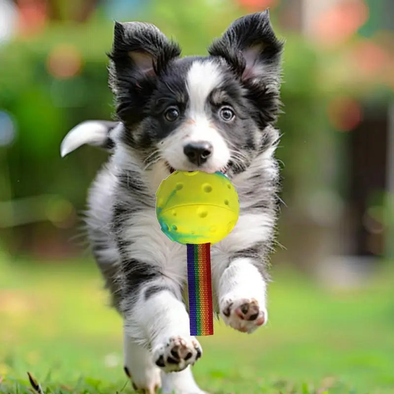 Pet Dogs Toys Slow Feeder Ball Silicone Training Pet Teeth Chewing Toy Easy-Clean Treat Dispensers Pet Accessories Pet Chew Toys