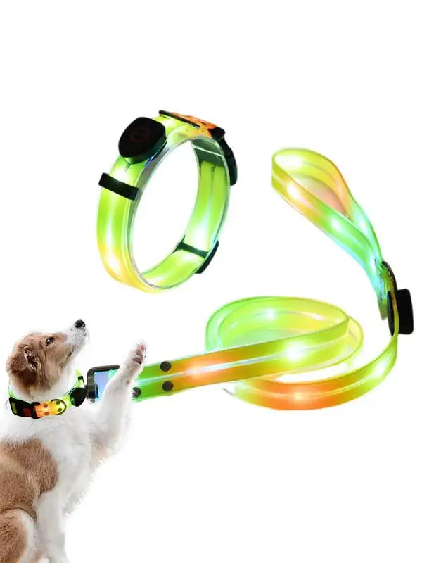 LED Light Up Dog Collar