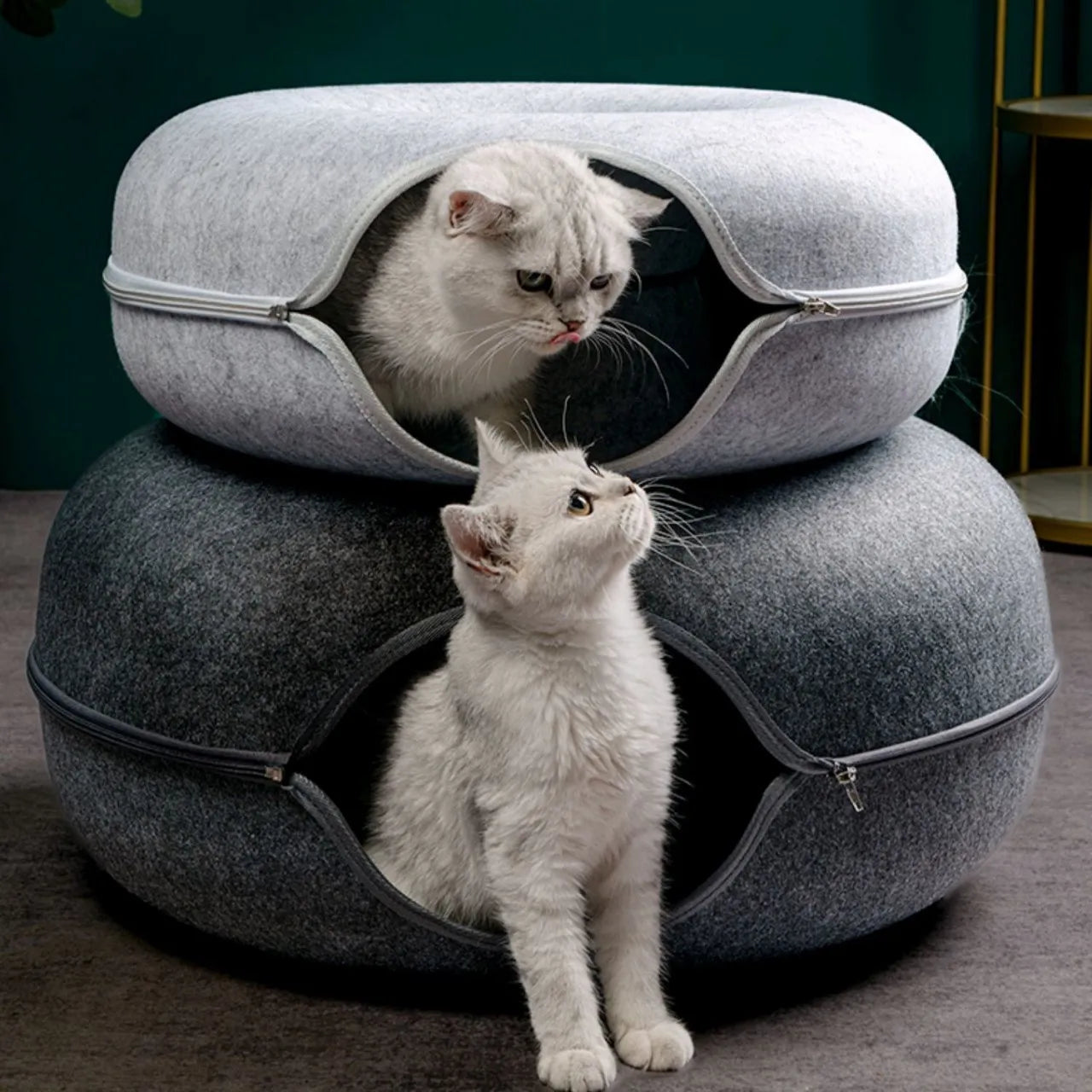 Donut-shaped cat bed with interactive tunnel, made of fiber, featuring two white cats playing inside.