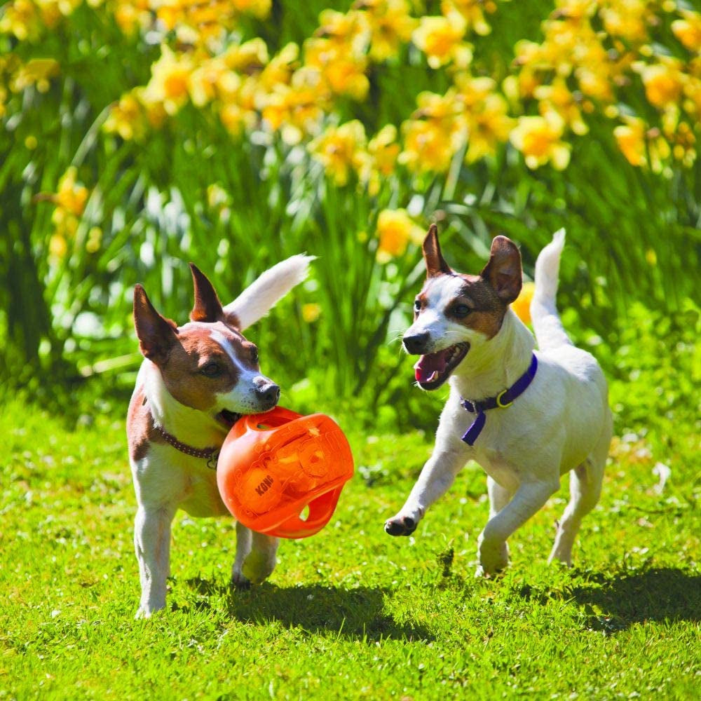Jumbler Ball - Interactive Dog Toy for Dog & Puppy Playtime - Fetch Toy with Tennis Ball - Dog Supplies for Engaging Play - for Large/Xl Dogs - Assorted Colors