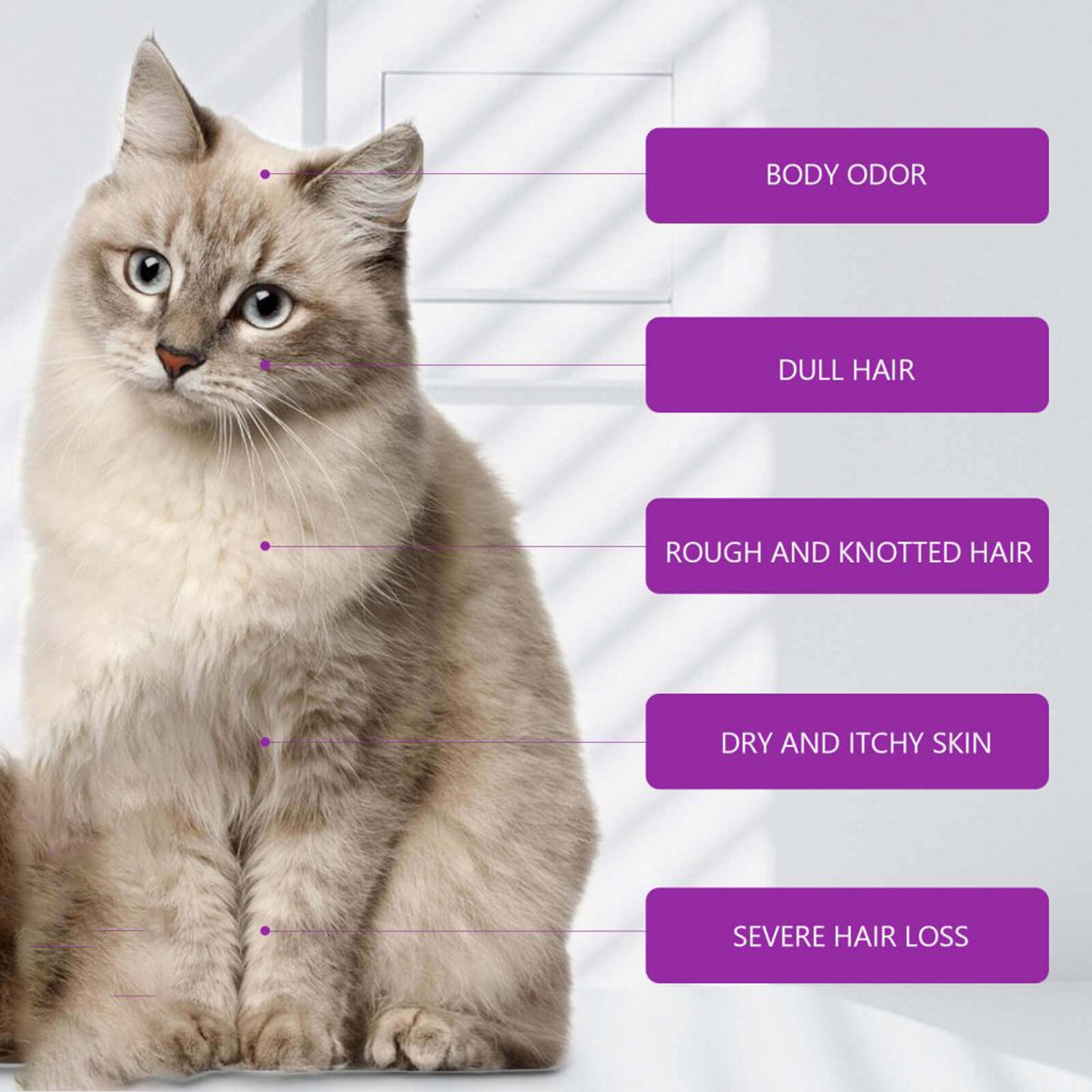 Pet Shampoo